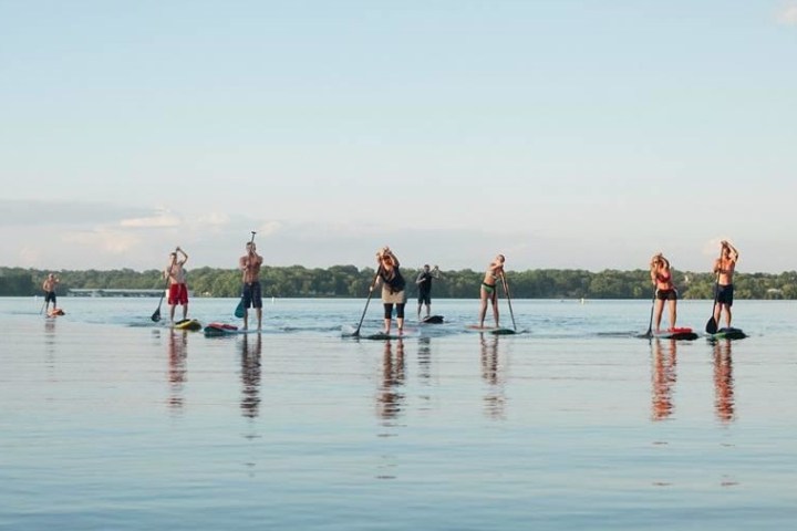 paddleboarders